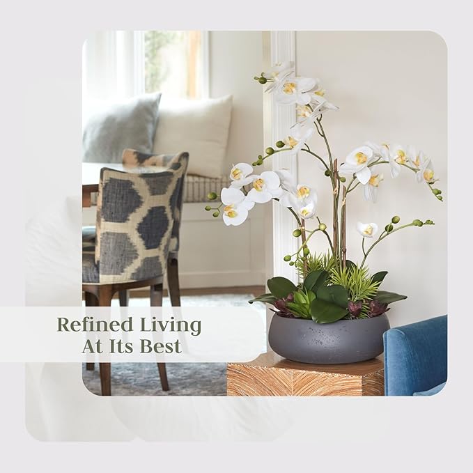 CG Hunter Faux Orchid Plant w/Succulents, Premium Artificial Indoor Flower Display Stands 24” w/Beautiful Sculptural Blooms and Succulents That Lasts Forever, Grey Planter Pot Included