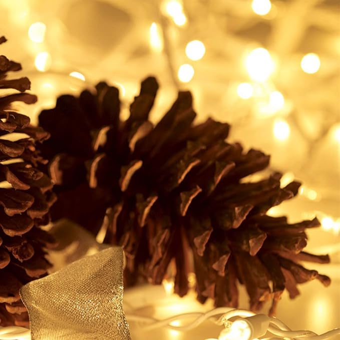 Christmas Lights 100 Count Mini Clear Lights 32ft White Wire Christmas Tree String Lights Set for Outdoor Indoor Christmas Decorations Wedding Decorations Valentines Day Decor,UL Certified (32feet)