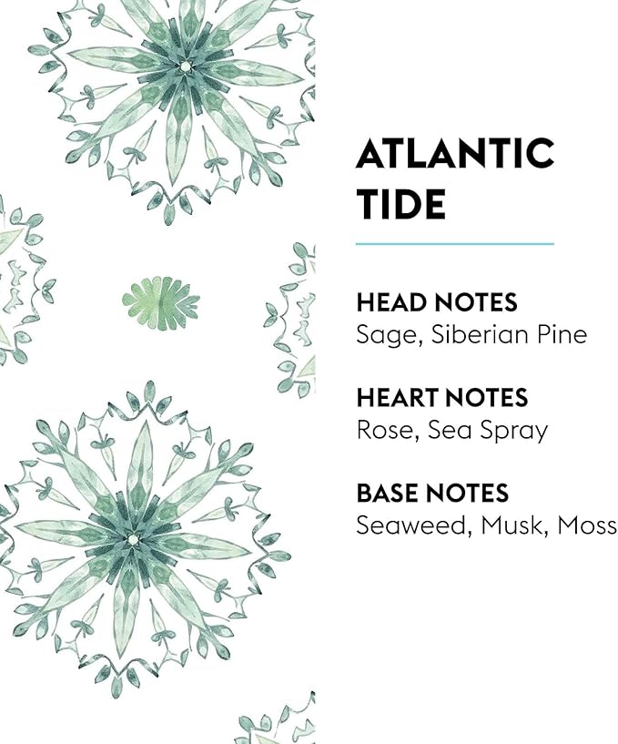 Atlantic Tide | Lampe Berger Fragrance Refill by Maison Berger | for Home Fragrance Oil Diffuser | Purifying and perfuming Your Home | 16.9 Fluid Ounces - 500 milliliters | Made in France