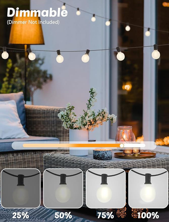 G40 Outdoor Globe Lights, 25FT Globe Christmas Lights with 27 LED Shatterproof Frosted Bulbs (2 Spare), Outdoor String Lights for Party Patio Garden Backyard Bistro Pergola Gazebo Decor, Black Wire
