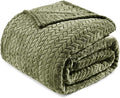 Exclusivo Mezcla Fleece Queen Size Blanket for Bed, 90x90 Inches Soft Cozy Jacquard Flannel Blankets, Lightweight Fuzzy Plush Warm for Winter, Olive Green