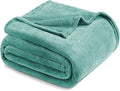 Exclusivo Mezcla Fleece Blanket King Size for Bed, Super Soft and Warm, All Season Use, Cozy, Plush, Lightweight, 90x104 Inches, Celadon