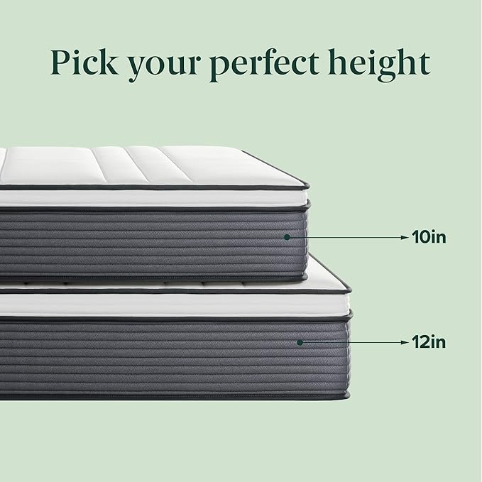 ZINUS 12 Inch True Support Hybrid Mattress [New Version], Twin, Fiberglass Free, Medium Feel, Motion Isolation, Certified Safe Foams & Fabric, Mattress in A Box