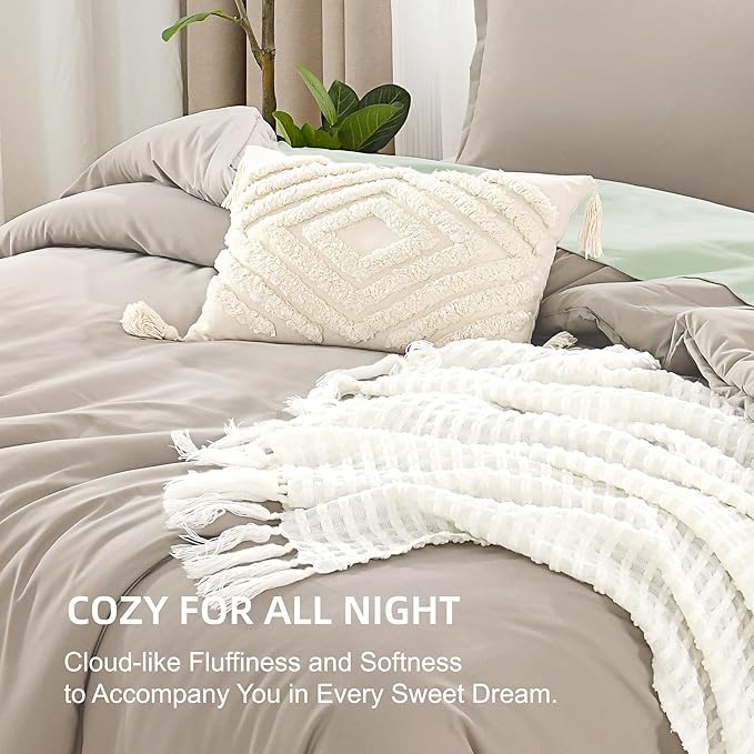 Litanika Oatmeal Comforter Queen Size, 3 Pieces Lightweight Solid Bedding Comforter Set, All Season Fluffy Bed Set (90x90In Comforter & 2 Pillowcases)