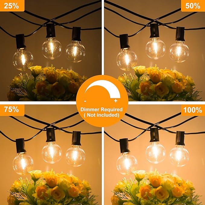 25FT Outdoor G40 LED Globe String Lights Dimmable Waterproof Shatterproof Light Strings with 13 Bulbs Connectable Commercial Hanging Lights for Christmas Patio House Backyard Balcony Party
