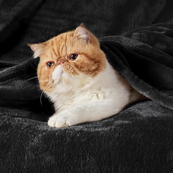 Bedsure GentleSoft Fleece Throw Blanket for Couch Black - Lightweight Plush Fuzzy Cozy Soft Halloween Blankets and Throws for Sofa, 50x60 inches