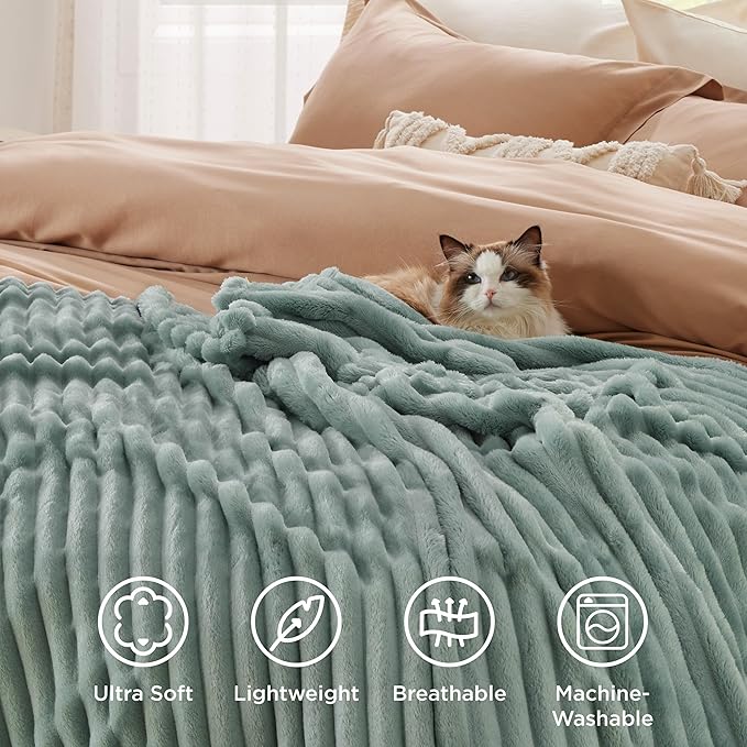 Bedsure GentleSoft Sage Green Fleece Blanket for Couch - Cozy Soft Blankets for Women, Cute Small Throws for Girls, 50x70 Inches