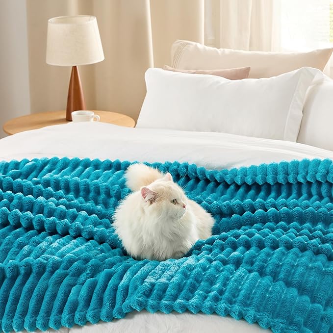 Bedsure GentleSoft Teal Fleece Blanket for Couch - Cozy Soft Blankets for Women, Cute Small Throws for Girls, 50x70 Inches