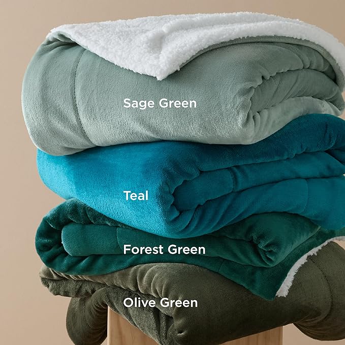 Bedsure GentleSoft Sherpa Fleece Throw Blanket for Couch - Thick and Warm Throw for Women and Men, Soft Fuzzy Plush Blanket for Winter, Teal, 50x60 Inches