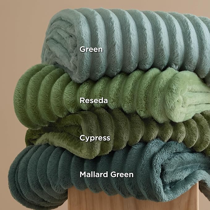 Bedsure GentleSoft Twin Blanket for Couch - Cozy Soft Blankets for Women, Cute Small Fleece Throws for Girls, Sage Green, 60x80 Inches