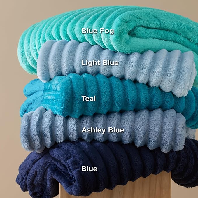 Bedsure GentleSoft Blue Fleece Blanket for Couch - Cozy Soft Blankets for Women, Cute Small Throws for Girls, 50x60 Inches