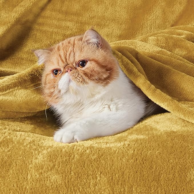 Bedsure GentleSoft Bedding Fleece Blanket for Girls and Boys - Soft Cozy Cute Small Throw Blankets for Travel, 43x55 Inches, Gold
