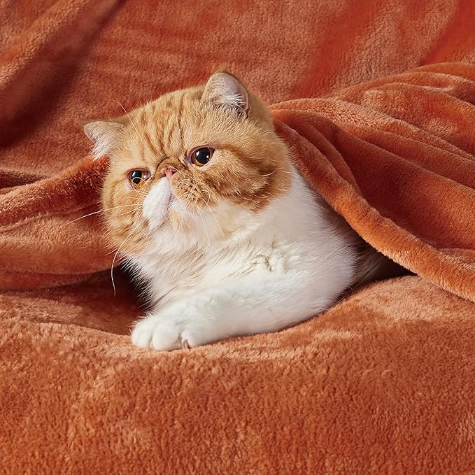 Bedsure GentleSoft Bedding Fleece Blanket for Girls and Boys - Soft Cozy Cute Small Throw Blankets for Travel, 43x55 Inches, Burnt Orange