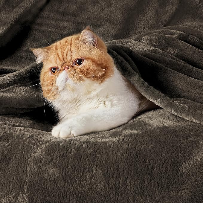 Bedsure GentleSoft Fleece Throw Blanket Brown - 300GSM Blankets for Couch, Sofa, Bed, Soft Lightweight Plush Cozy Throws for Toddlers, 50x60 inches